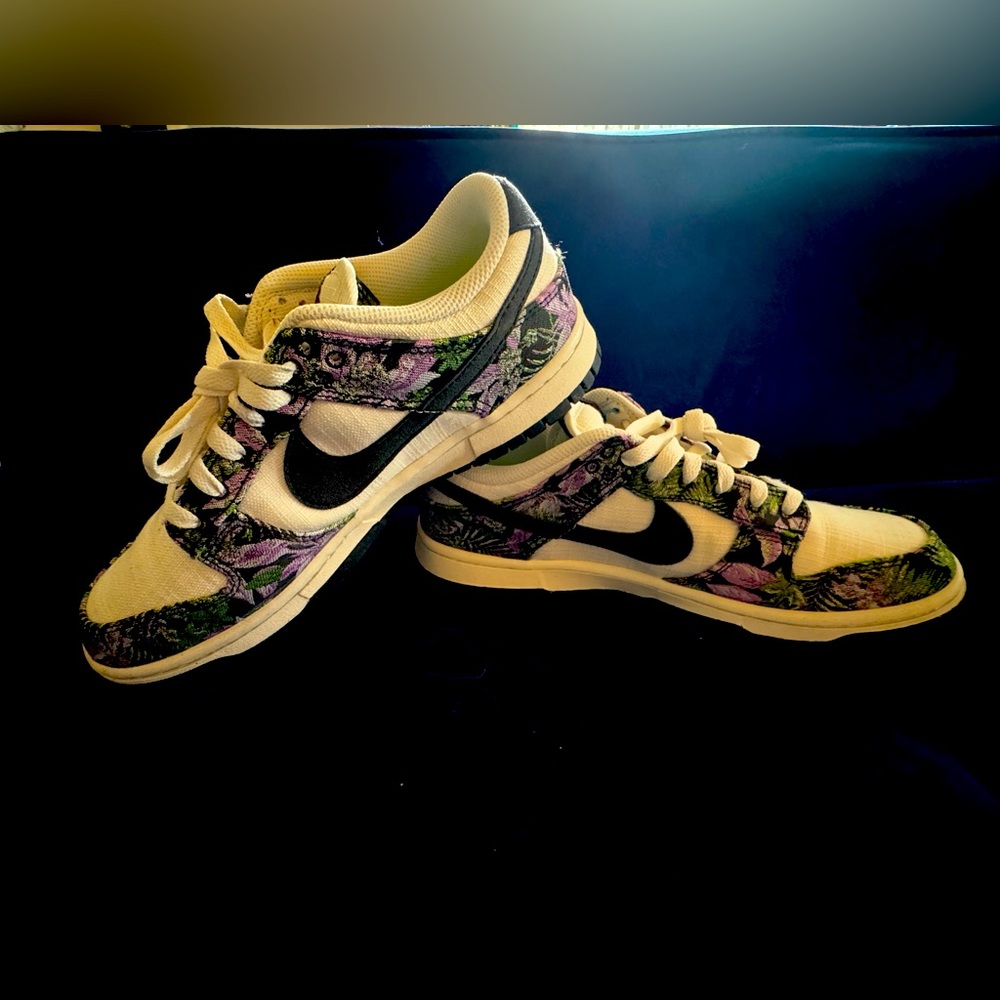 Women’s Nike Dunks size 10